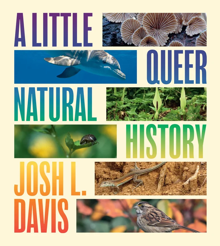 roundaboutbookstore1021402
