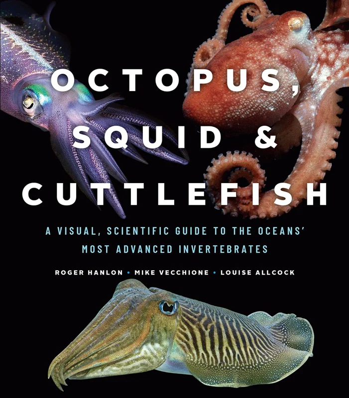 roundaboutbookstore1028804