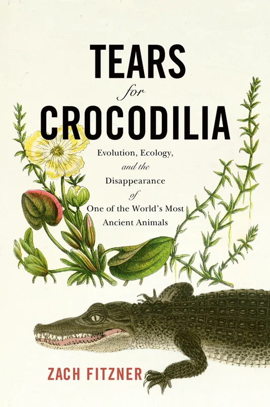 roundaboutbookstore1093076