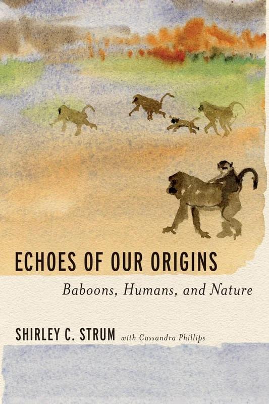 roundaboutbookstore1108823