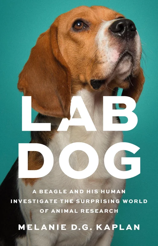 roundaboutbookstore1109002