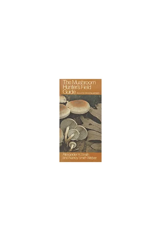 roundaboutbookstore1128204