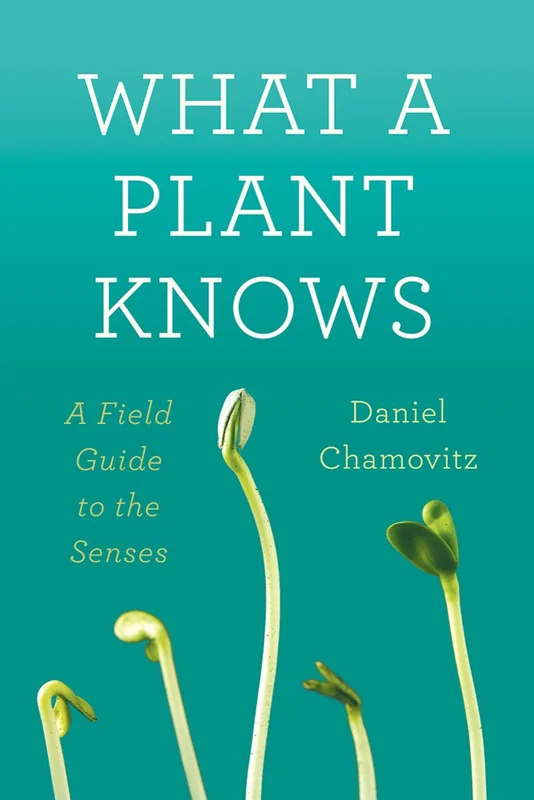 roundaboutbookstore1264789