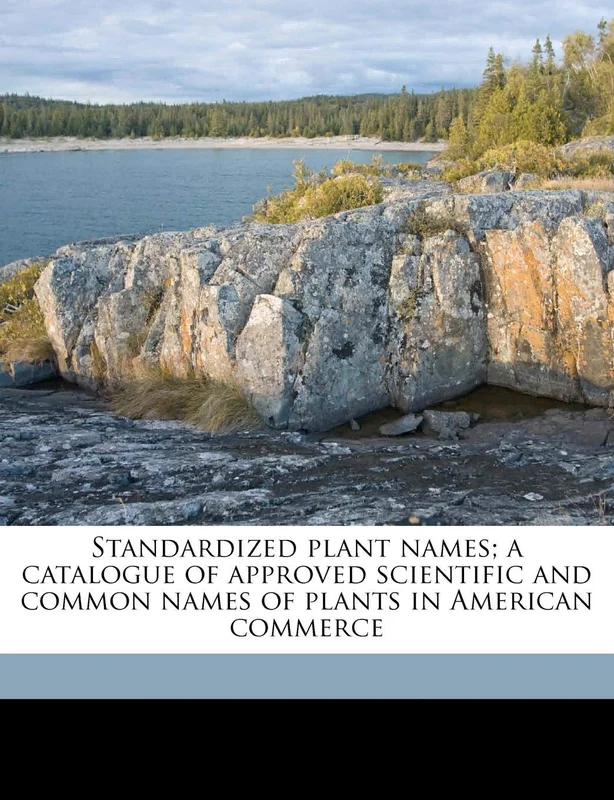 roundaboutbookstore1298180