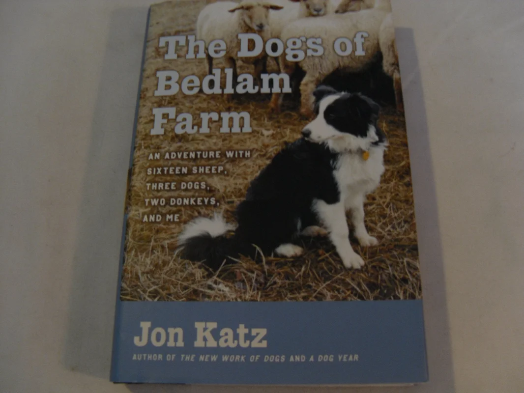 roundaboutbookstore1372213