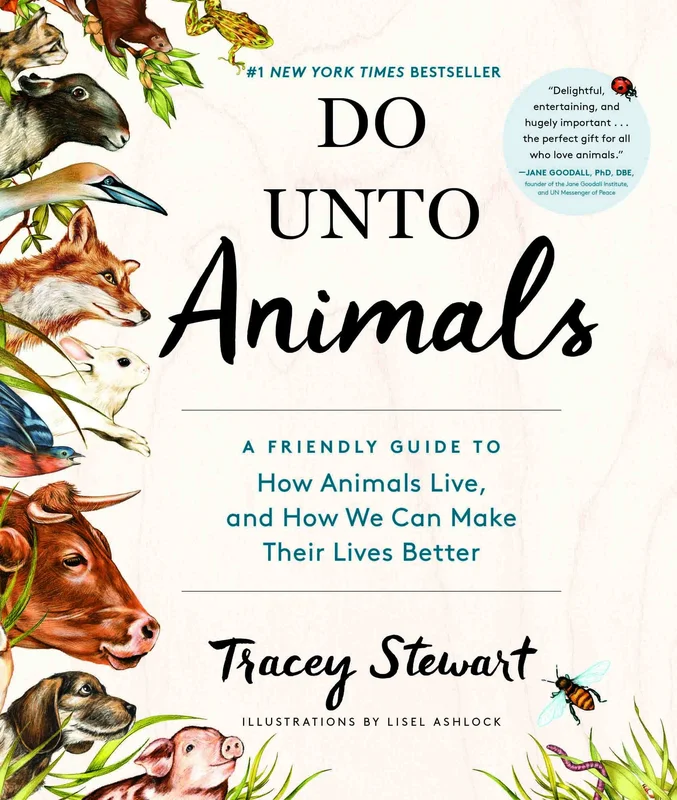 roundaboutbookstore1373026
