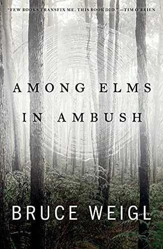 roundaboutbookstore941231