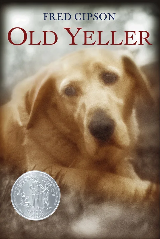 roundaboutbookstore994369
