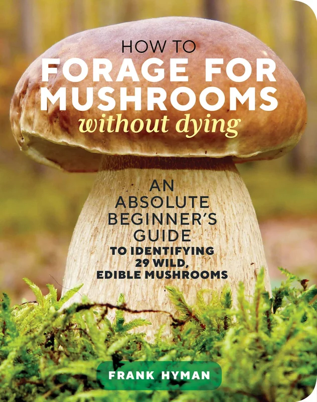 roundaboutbookstore995276