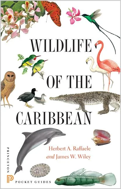 worldcaribbeanbooks-11000763