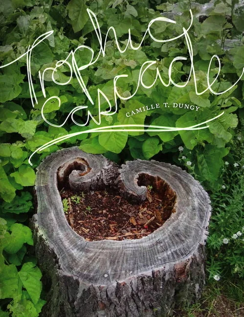 worldcaribbeanbooks-11126293