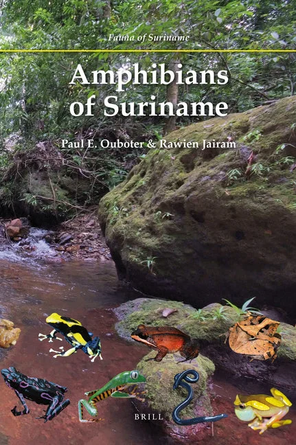 worldcaribbeanbooks-11257304
