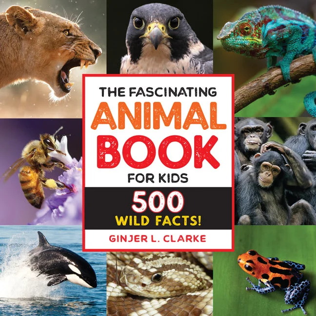 worldcaribbeanbooks973198